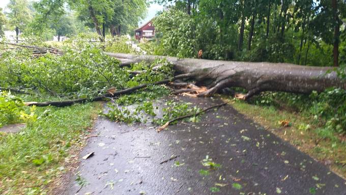 Umgestürzte Bäume und Hagel: So wütete das Gewitter im Pilatusland