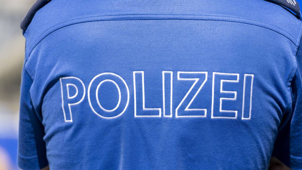 Die Luzerner Polizei sucht zur Messerstecherei auf dem Europlatz Zeugen.