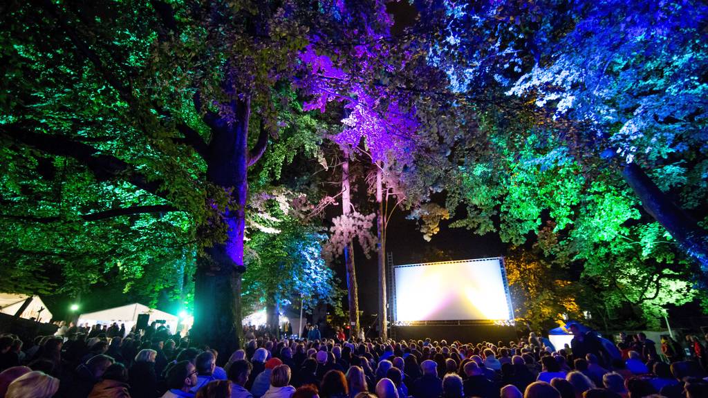 Solothurner Sommerfilme