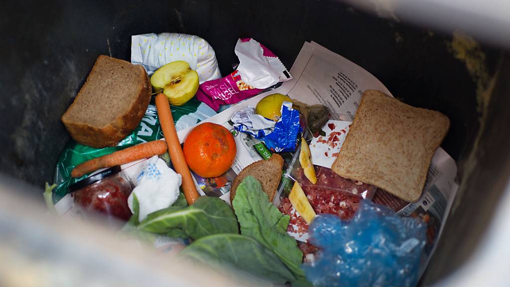 60 Prozent des globalen Food Waste verursachen Haushalte