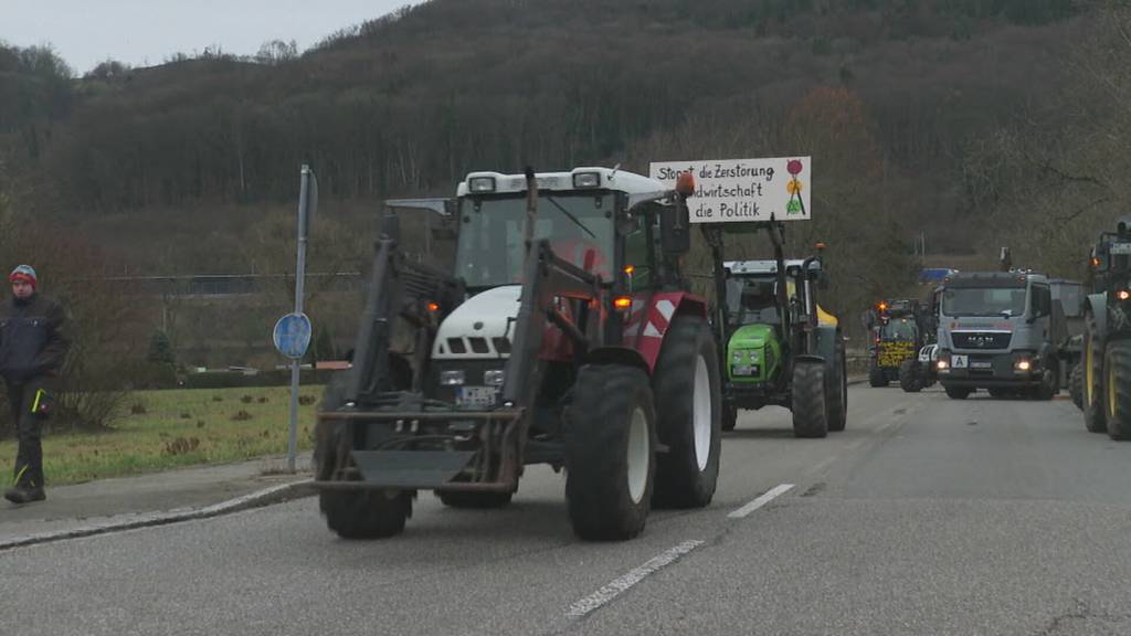 Bauern-Protest: Deutsche Landwirte legen Verkehr an der Aargauer Grenze lahm