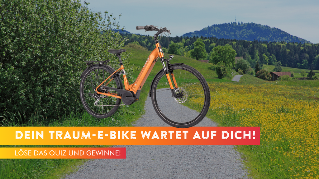 Gewinne ein E-Bike