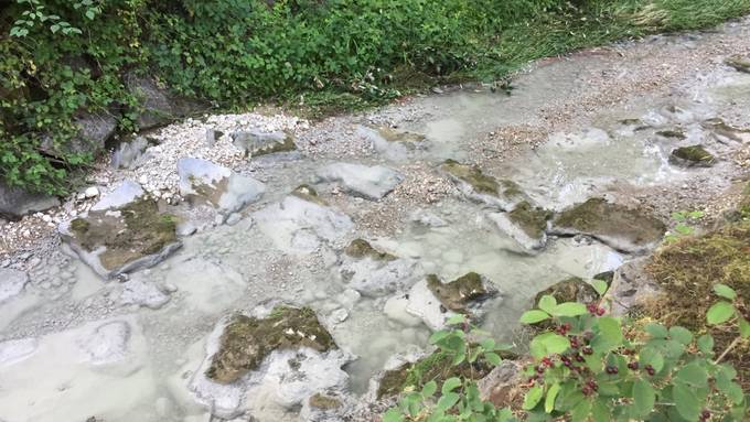 Betonwasser in Bach geflossen