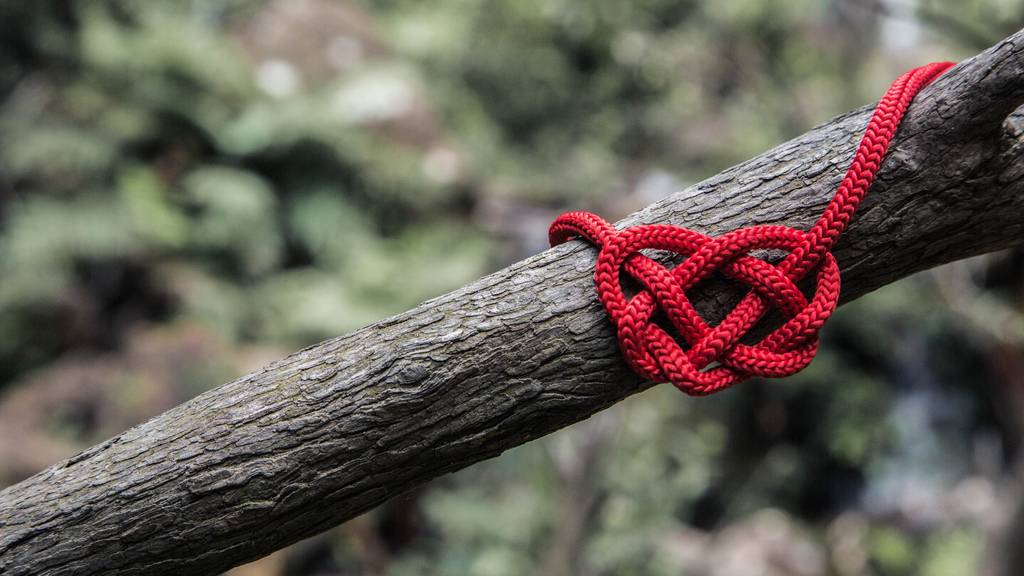 Wie ist es, polyamor zu leben?