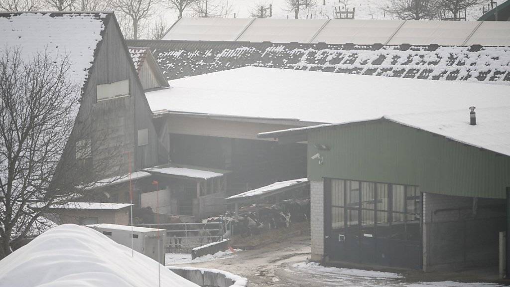 Einer der Höfe im Luzerner Hinterland, auf dem im Dezember mehrere Rinder beschlagnahmt wurden. (Archivbild)