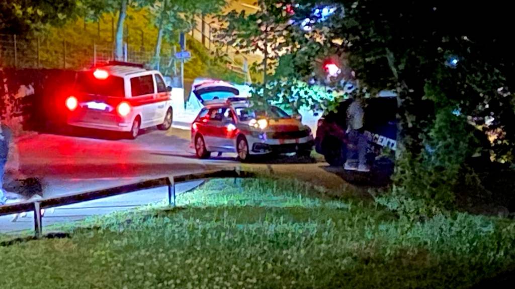 Neonazi-Party in Rüti hat mehrere Strafverfahren zur Folge
