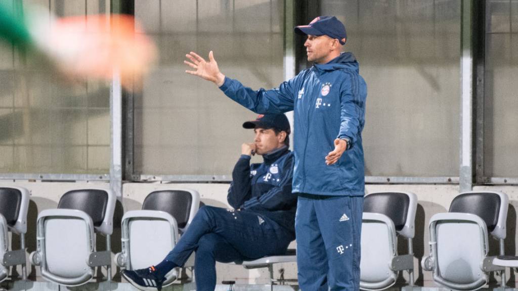 Sebastian Hoeness wird Trainer von Steven Zuber bei Hoffenheim