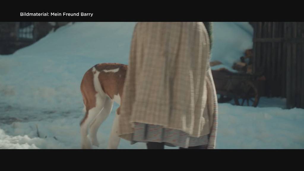 Drei Berner im Cast von «Mein Freund Barry»