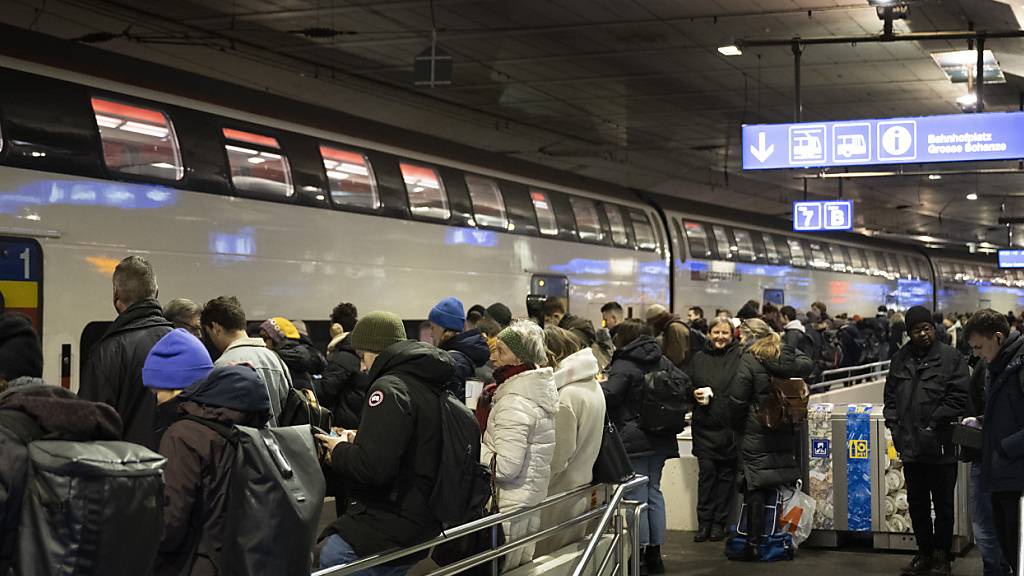 Bahnen im ersten Quartal mit Passagierrekord - Güterverkehr lahmt