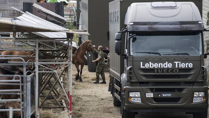 Bedingte Freiheitsstrafe für Thurgauer Kantonstierarzt gefordert