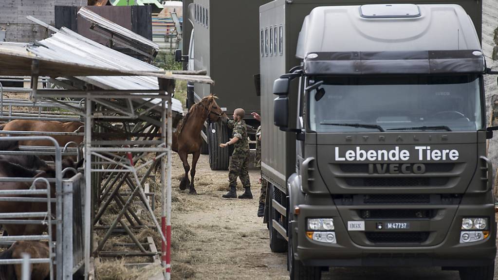 Die Schweizer Armee transportierte am 8. August 2017 die Pferde vom Hof in Hefenhofen ab. (Archivbild)