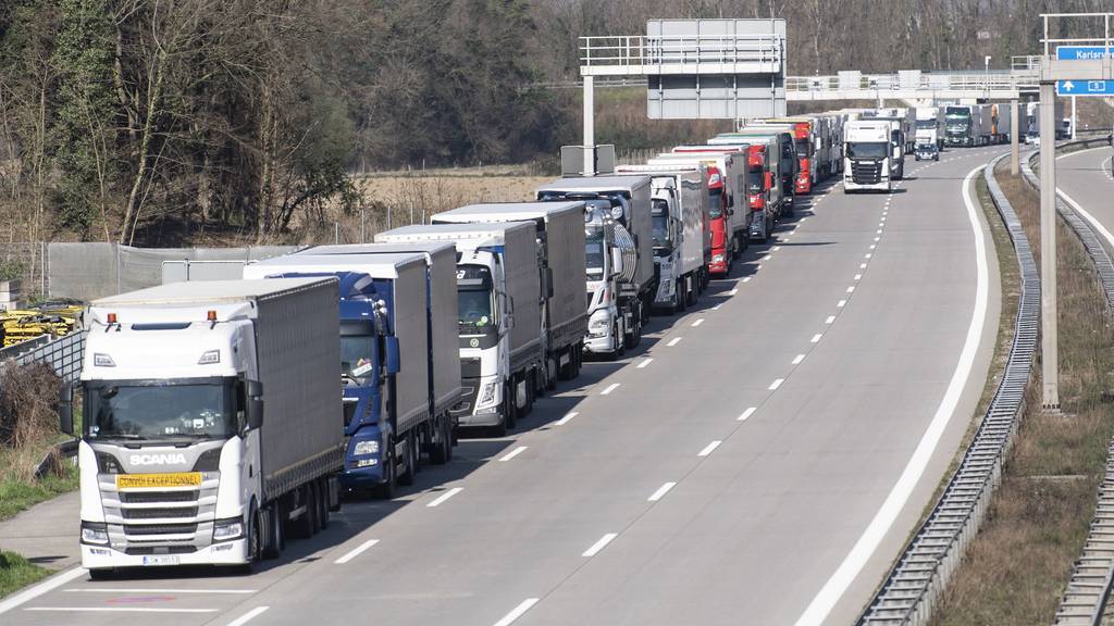 An der Schweizer Grenze waren mehrere Lastwagen mit Schutzmaterial blockiert. (Symbolbild)