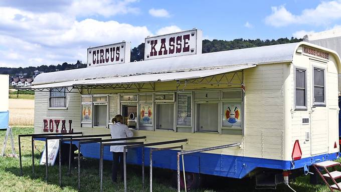 Knatsch in der Manege