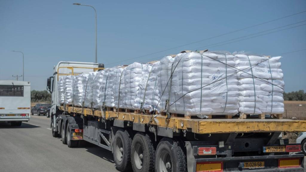 ARCHIV - Lastwagen mit dem Logo des Welternährungsprogramms liefern Hilfsgüter über den Grenzübergang Kerem Shalom nach Gaza. Foto: ILIA YEFIMOVICH/dpa (Archivbild)
