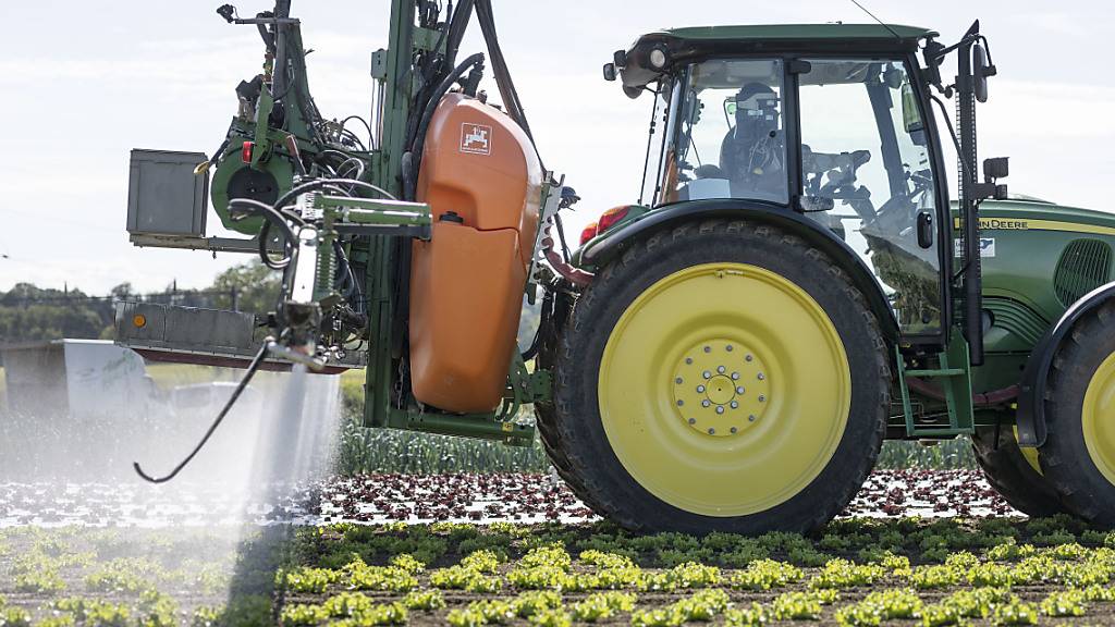 Der Bundesrat empfiehlt zwei Initiativen zum Einsatz von Pestiziden zur Ablehnung. (Symbolbild)