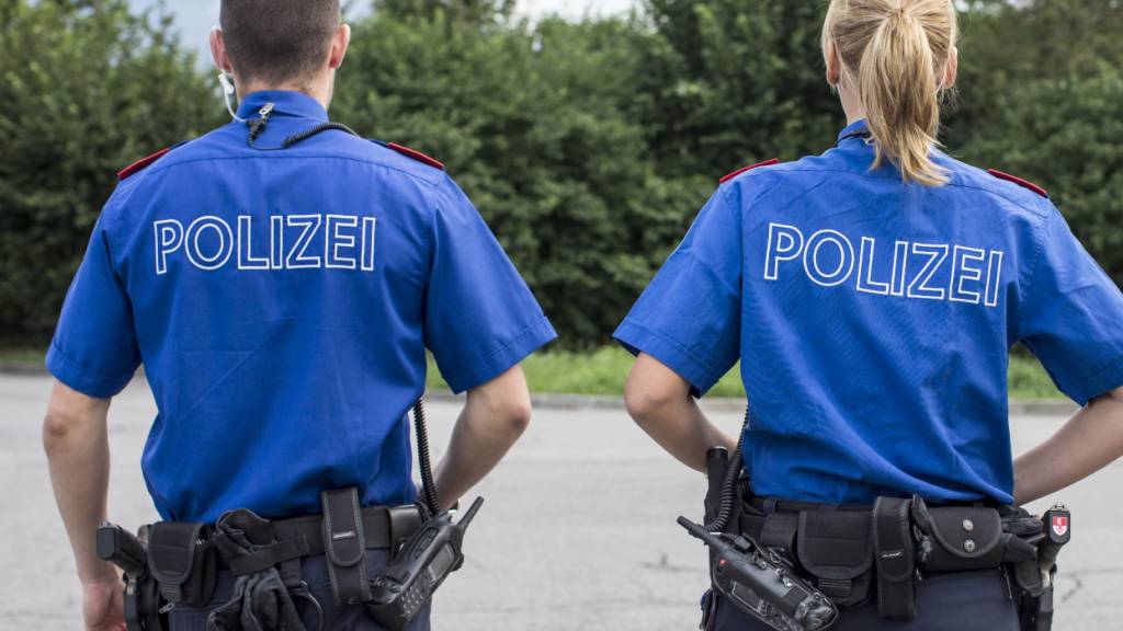 In der Nacht auf Sonntag konnten in Giswil OW zwei mutmassliche
Einbrecher festgenommen werden. (Symbolbild)