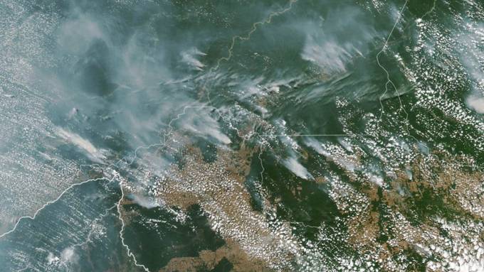 Zahl der Waldbrände drastisch gestiegen