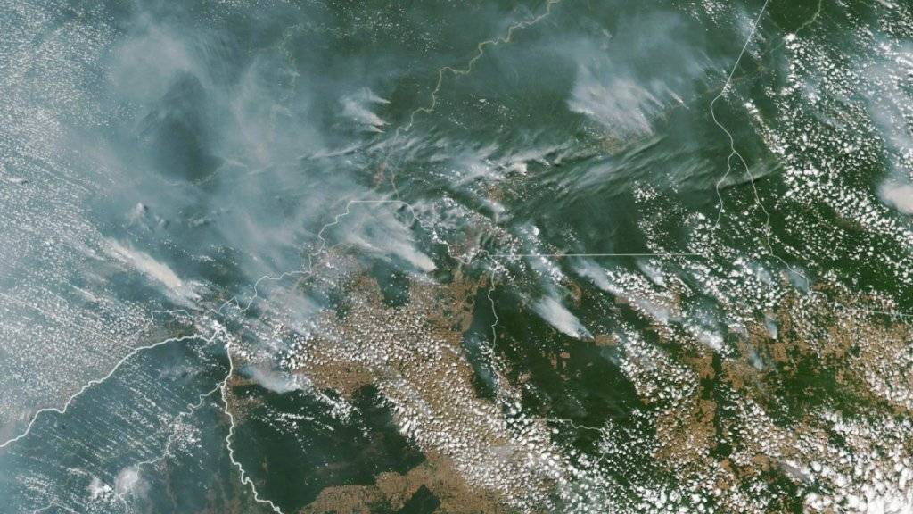 Rauchschwaden verraten die Waldbrände im Amazonasgebiet auf dieser Satellitenaufnahme der Nasa.