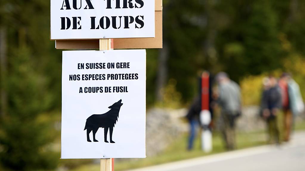 Im vergangenen Herbst hatten Wolfsschützer gegen die bewilligten Abschüsse protestiert.
