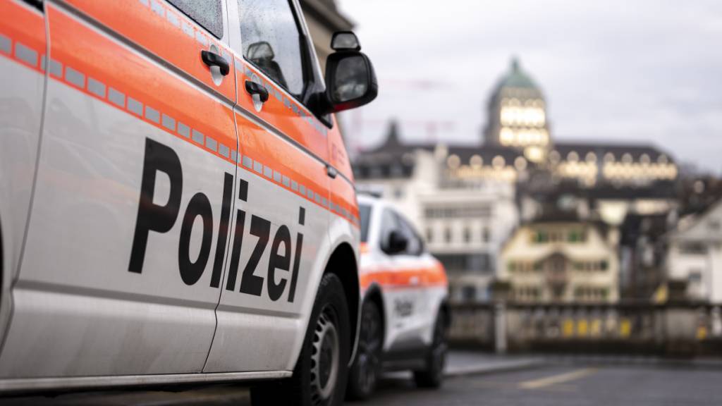 Stadtpolizei Zürich schnappte am Sonntag zwei Einbrecher und zwei mutmassliche Diebe. (Symbolbild)
