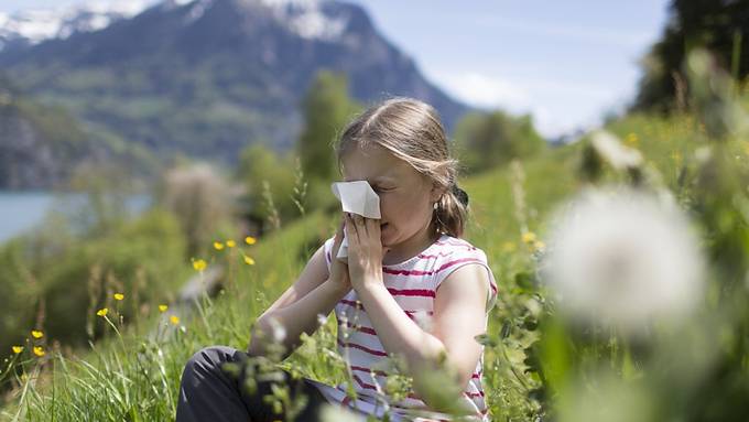 Hilfe für Allergiker: Start-up will Pollenflug in Echtzeit messen