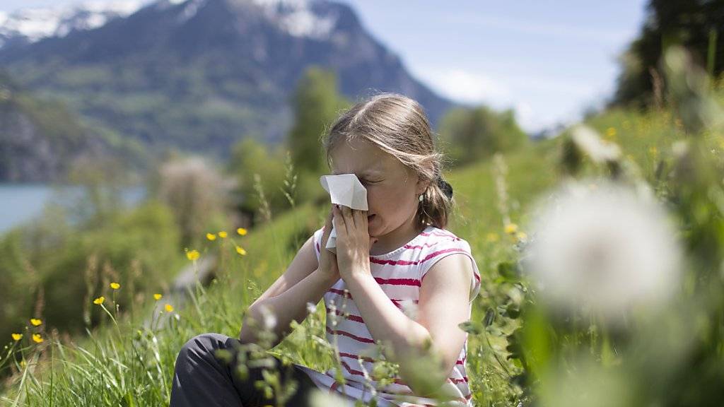 Allergikerinnen und Allergiker sollen sich künftig jederzeit darüber informieren können, wo gerade welche Pollen fliegen. (Symbolbild)