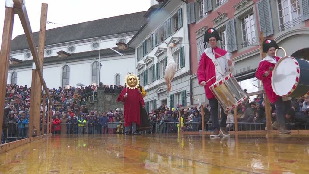 Gansabhauet Sursee