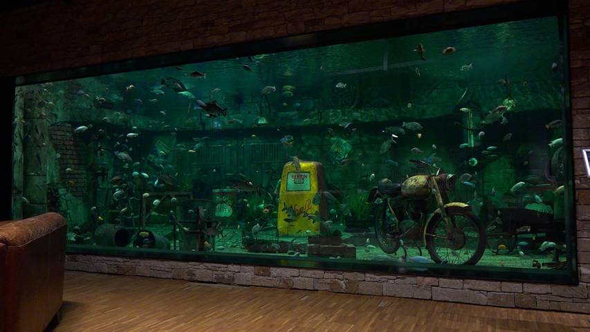 Rund ums Aquarium - von Taucheinsätzen und Fischrettern