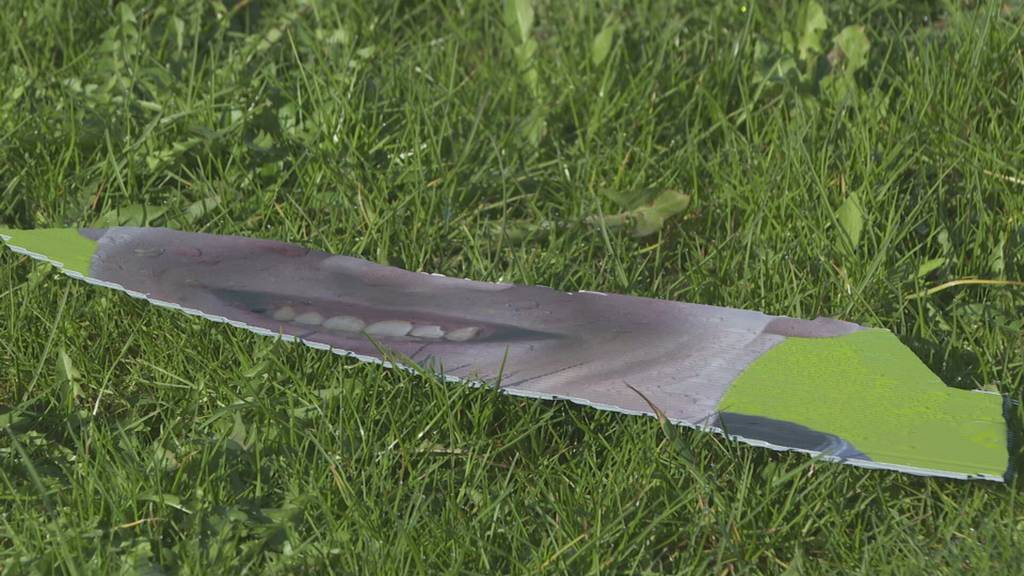 Wütende Kantonsrätin: Strafanzeige wegen Plakat-Vandalismus