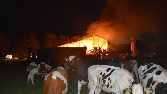 Brandstiftung bei der Feuerwehr: Ein seltenes aber gefährliches Phänomen