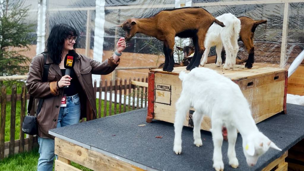«Ohne Essen gibt es kein Touchy-Touchy»: RADIO BERN1 besucht die Tiere