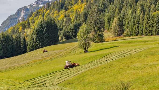 Sofortmassnahmen wegen Trockenheit