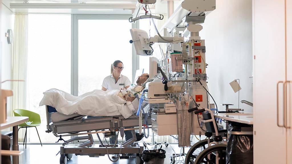 Der Schimmelpilz Aspergillus kann bei Menschen, die mit schwerer
Grippe auf der Intensivstation behandelt werden, den
Krankheitsverlauf gravierend verschlechtern. (Symbolbild)