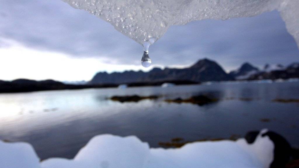 Ein Eisberg in Grönland schwitzt - die Insel erlebte den wärmsten Sommer seit Beginn der Aufzeichnungen. (Archiv)
