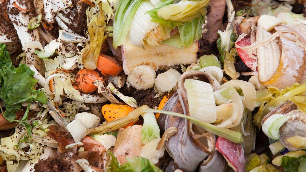 Food Waste Lebensmittel verschwendung Abfall