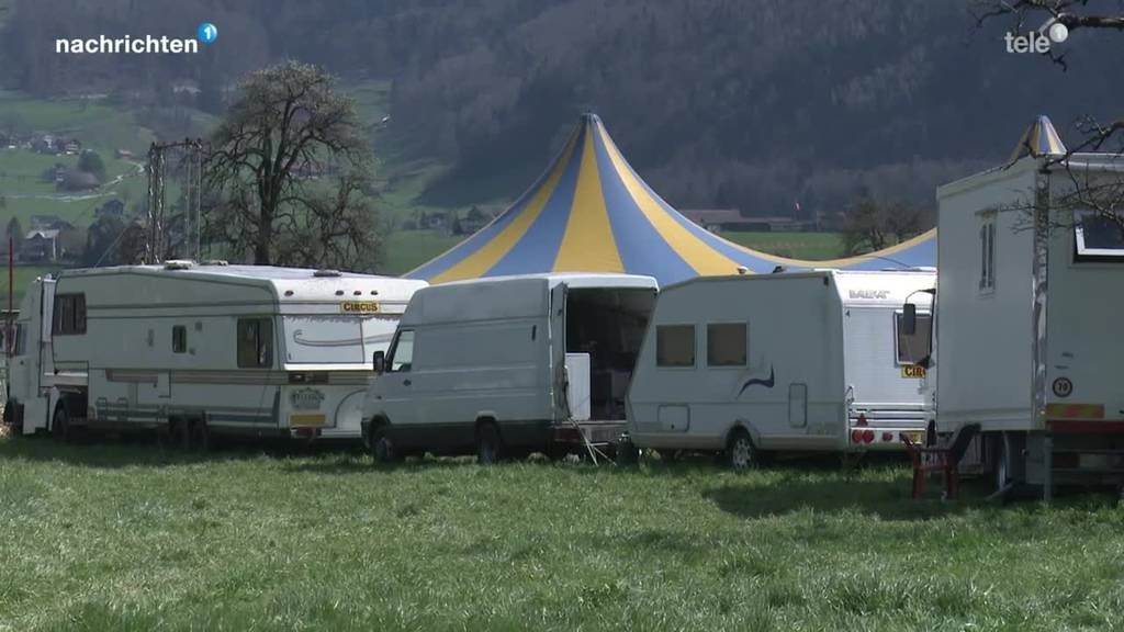 Zirkus sitzt wegen Corona in Ingebohl-Brunnen fest