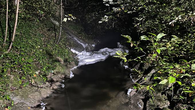 Grösseres Fischsterben im Tägelbach in Frauenfeld