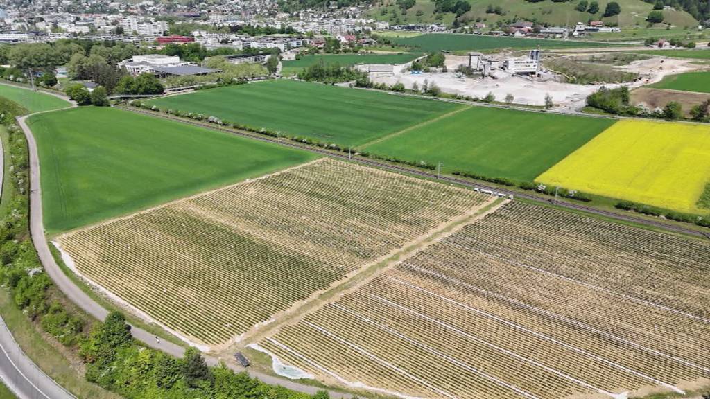 Bauprojekt: Gemeinde Würenlos will Hitachi-Campus vor Bundesgericht bekämpfen