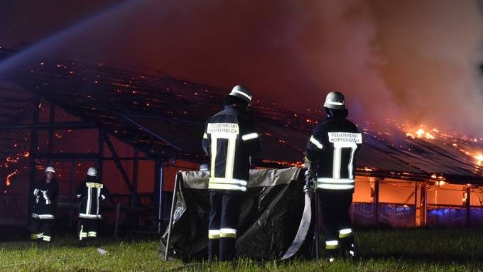 150 Tiere sterben bei Stallbrand im Allgäu