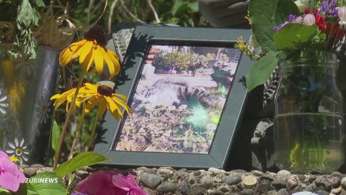 Geköpfte Katze in Schaffhausen: Es war ein Wildtier