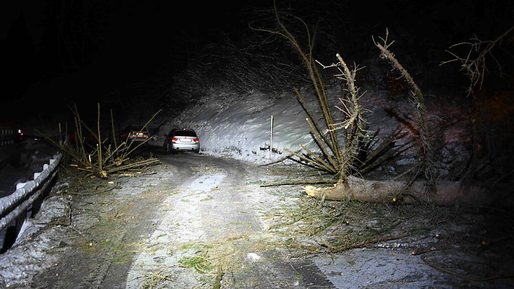 Baum stürzte in Chur auf fahrendes Auto.