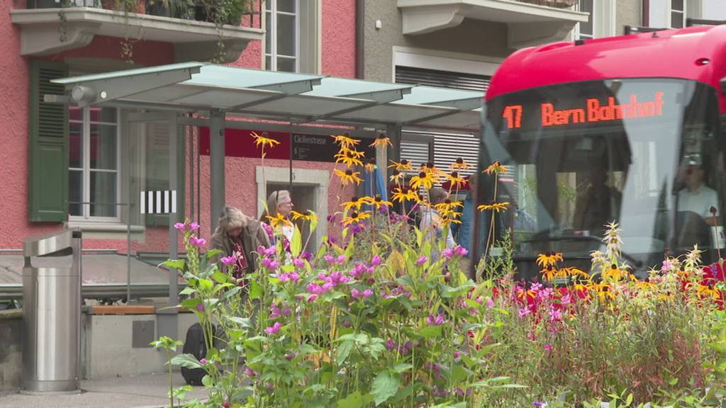 Tram ins Fischermätteli bleibt