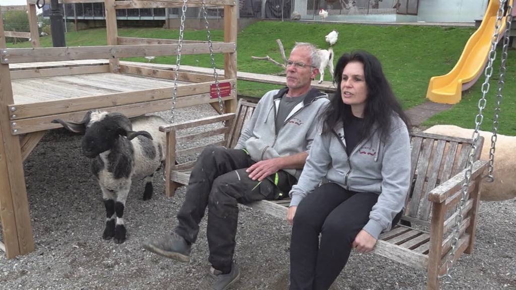 Respektlose Besucher: Tiere beim Erlebnisrestaurant Maro's in Lostorf mit Steinen beworfen