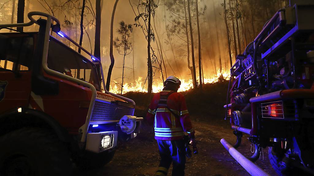 Hoffnungsschimmer bei Waldbränden in Portugal