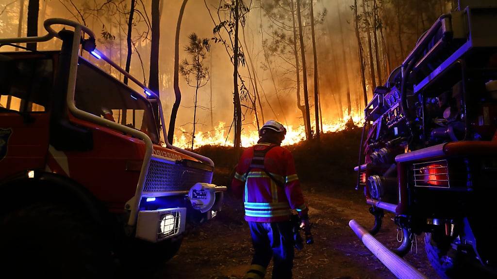 dpatopbilder - Feuerwehreinheiten löschen einen Brand am Rande von Sever do Vouga. Foto: Bruno Fonseca/AP