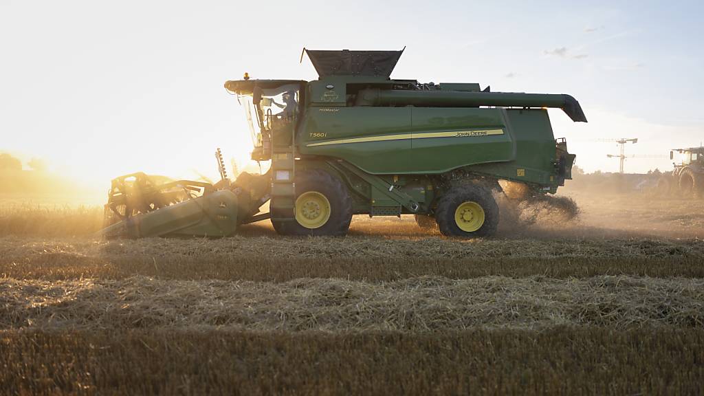 Bund gibt wegen schlechter Getreideernte Zollkontingent früher frei