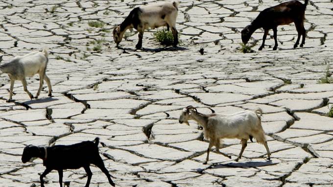 Der menschengemachte Klimawandel bringt Südeuropa in Wassernot