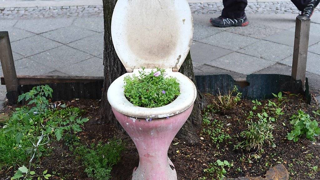 Zu spät: Frau weg - WC nicht mehr gebraucht (Symbolbild; Aufnahme vom Mai 2013 aus Berlin).