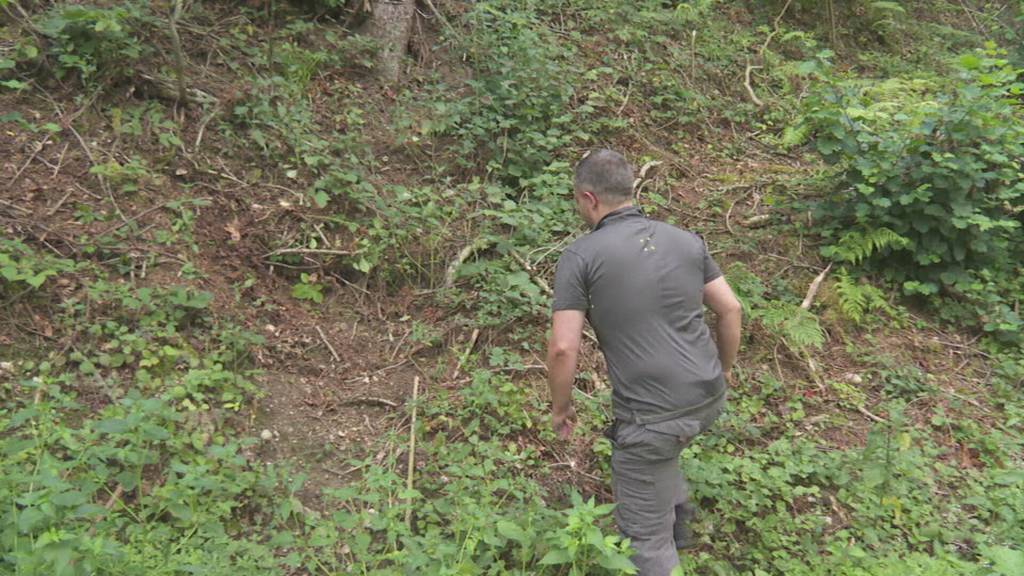 Waldbrand-Situation in der Zentralschweiz