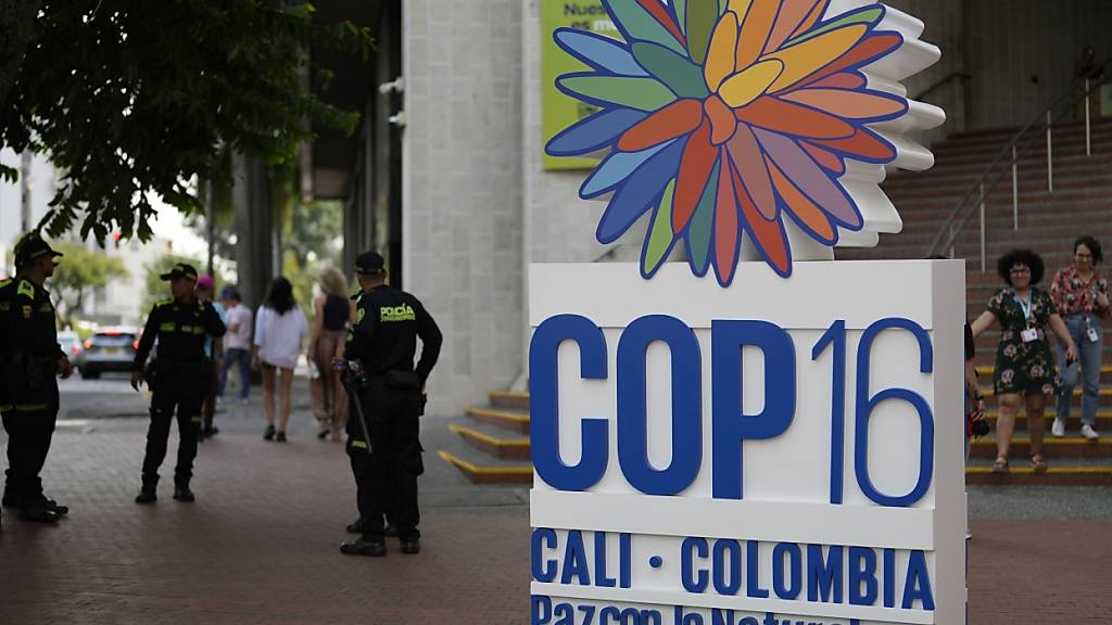 ARCHIV - Polizisten stehen vor einem Hotel neben dem Logo der 16. UN-Konferenz zur biologischen Vielfalt (COP16) zum Thema biologische Vielfalt. Foto: Fernando Vergara/AP/dpa